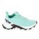 SALOMON Alphacross Blast C Vert