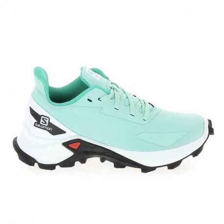 SALOMON Alphacross Blast C Vert