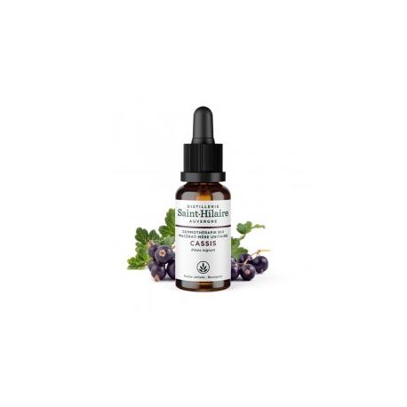 De Saint Hilaire - Macérat mère de bourgeons unitaire de Cassis biologique 30 ml De Saint Hilaire - Macérat mère de bourgeons unitaire de Cassis biologique 30 ml