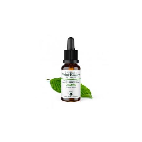 De Saint Hilaire - Macérat mère de bourgeons unitaire de Charme biologique 30 ml De Saint Hilaire - Macérat mère de bourgeons unitaire de Charme biologique 30 ml