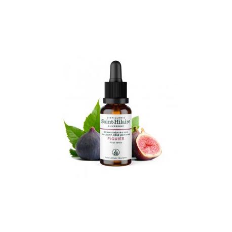 De Saint Hilaire - Macérat mère de bourgeons unitaire de Figuier biologique 30 ml De Saint Hilaire - Macérat mère de bourgeons unitaire de Figuier biologique 30 ml