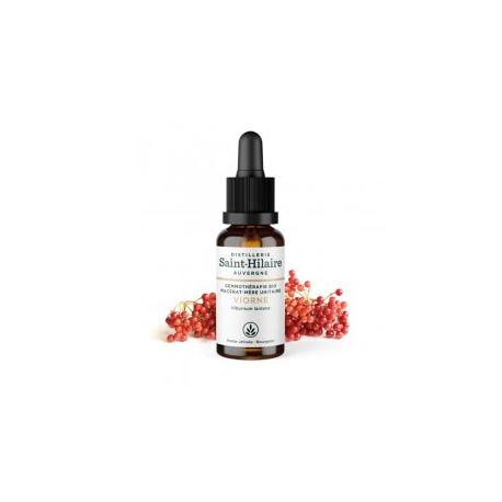 De Saint Hilaire - Macérat mère de bourgeons unitaire de Viorne biologique 30 ml De Saint Hilaire - Macérat mère de bourgeons unitaire de Viorne biologique 30 ml
