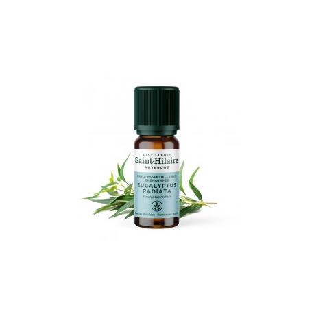 De Saint Hilaire - Huile Essentielle d'Eucalyptus radiata 10 ml De Saint Hilaire - Huile Essentielle d'Eucalyptus radiata 10 ml