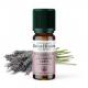 De Saint Hilaire - Huile Essentielle de Lavande Aspic 10 ml