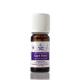 De Saint Hilaire - Huile Essentielle de Sapin Blanc 10 ml