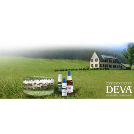 vendredi 12 juin 2020 : CONSULTATION GRATUITE Fleurs de Bach vendredi 12 juin 2020 : CONSULTATION GRATUITE Fleurs de Bach