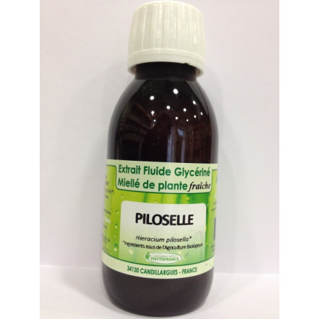 Piloselle - Extrait Fluide Glycériné Miellé de plante Bio - Phytofrance Piloselle - Extrait Fluide Glycériné Miellé de plante Bio - Phytofrance