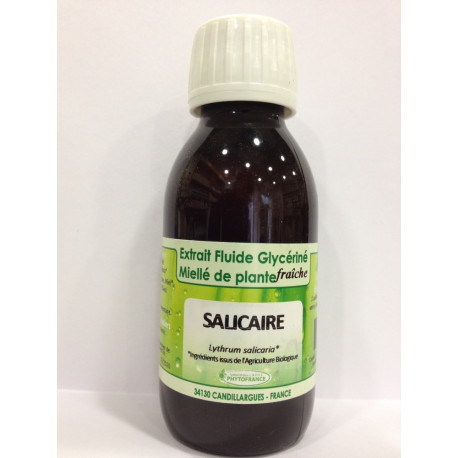 Salicaire - Extrait Fluide Glycériné Miellé de plante Bio - Phytofrance Salicaire - Extrait Fluide Glycériné Miellé de plante Bio - Phytofrance