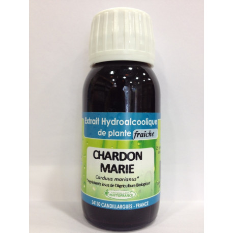 Chardon Marie - Extrait Hydroalcoolique de plante fraîche Bio - Phytofrance Chardon Marie - Extrait Hydroalcoolique de plante fraîche Bio - Phytofrance