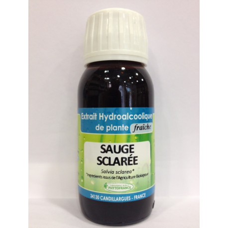 Sauge sclarée - Extrait Hydroalcoolique de plante fraîche Bio - Phytofrance Sauge sclarée - Extrait Hydroalcoolique de plante fraîche Bio - Phytofrance