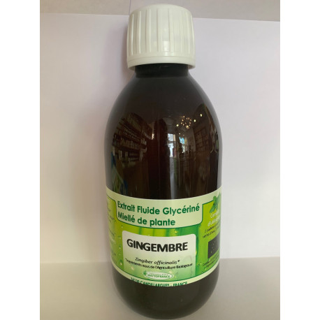 Gingembre - Extrait Fluide Glycériné Miellé de plante Bio Phytofrance Gingembre - Extrait Fluide Glycériné Miellé de plante Bio Phytofrance