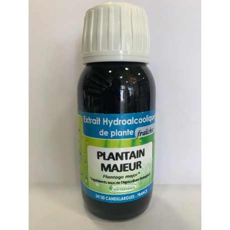 Plantain majeur - Extrait Hydroalcoolique de plante fraîche Bio - Phytofrance Plantain majeur - Extrait Hydroalcoolique de plante fraîche Bio - Phytofrance
