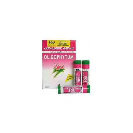 HOLISTICA - Oligophytum SOU - 3 tubes distributeurs HOLISTICA - Oligophytum SOU - 3 tubes distributeurs